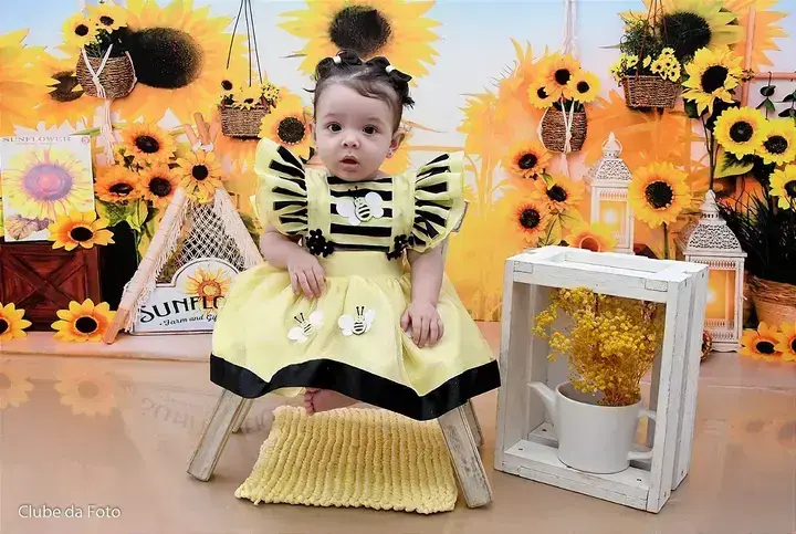 Vestido princesa abelha abelinha