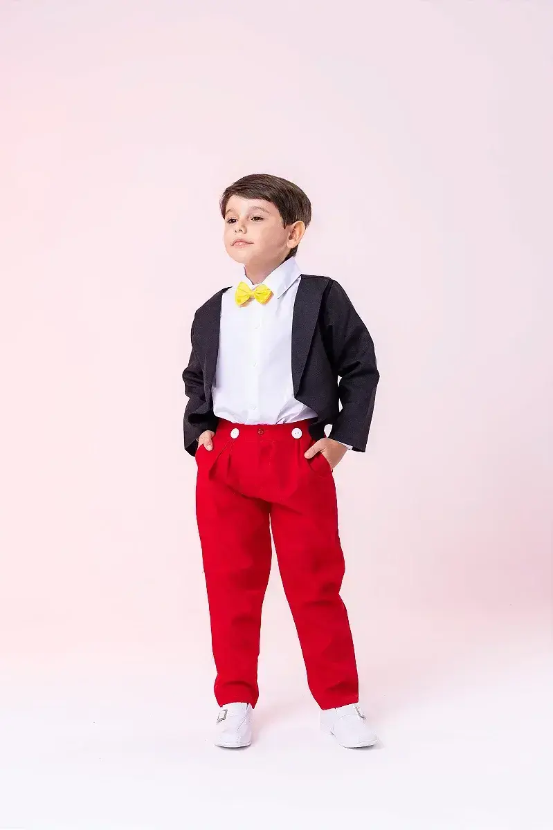 Conjunto festa mickey